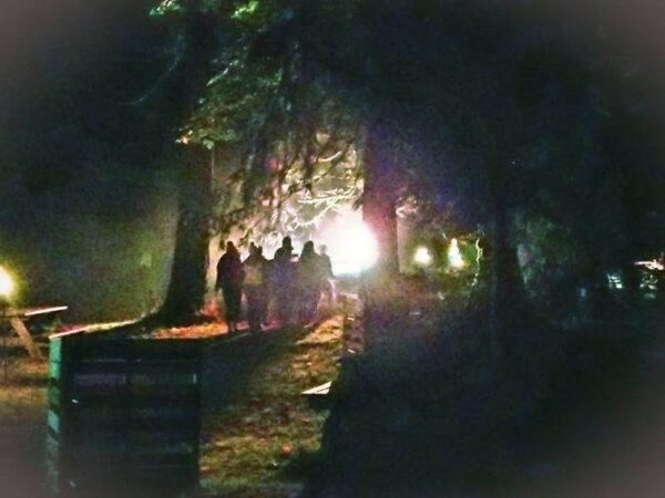 Haunted Forest of Maple Valley