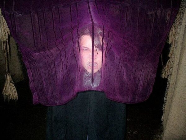 Haunted Forest of Maple Valley