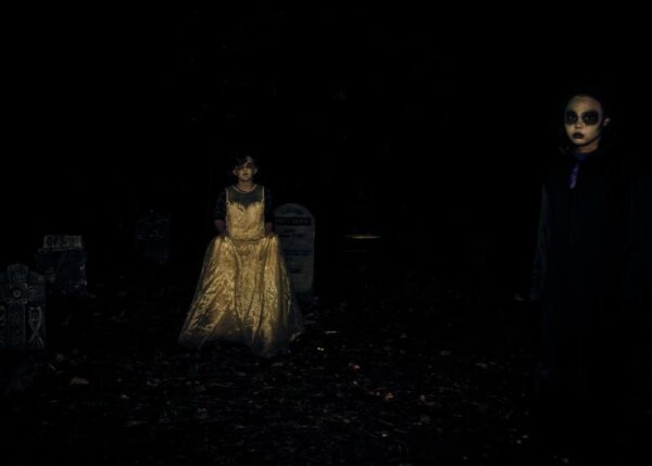 Haunted Forest of Maple Valley