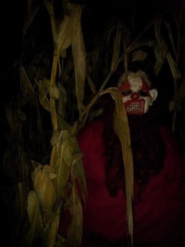 Haunted Maze at Mayr Family Farm