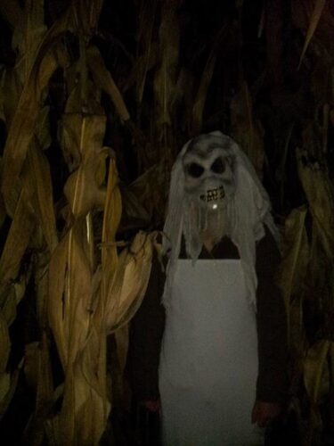 Haunted Maze at Mayr Family Farm