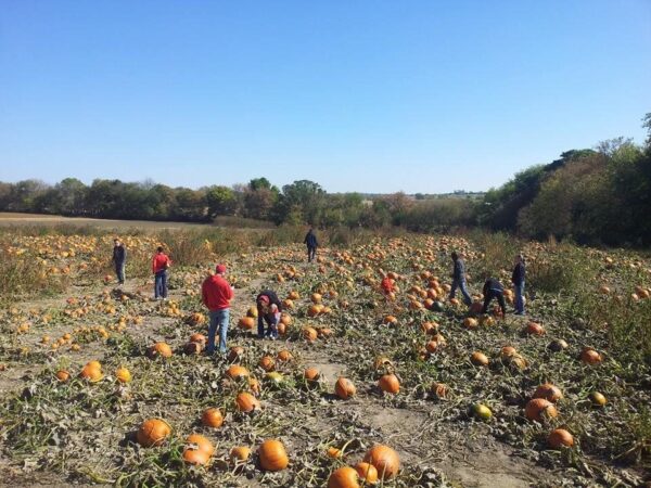 Haunted Maze at Mayr Family Farm