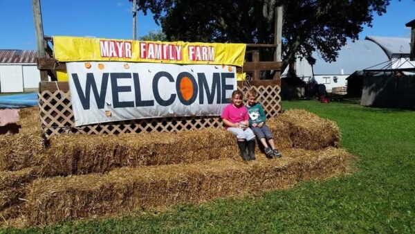 Haunted Maze at Mayr Family Farm