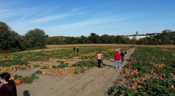 Haunted Maze at Mayr Family Farm