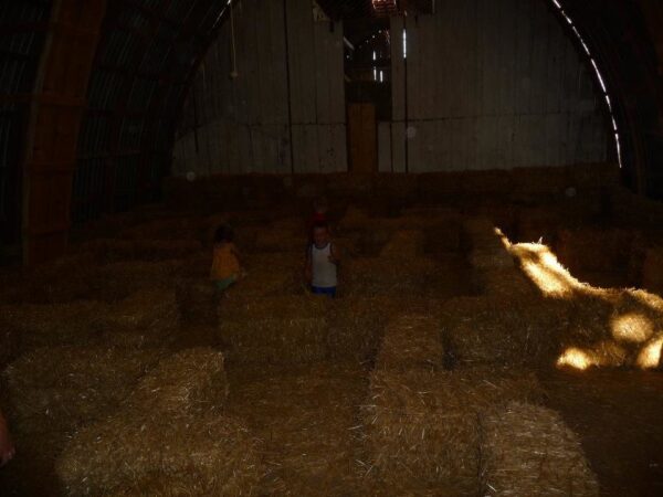 Haunted Maze at Mayr Family Farm