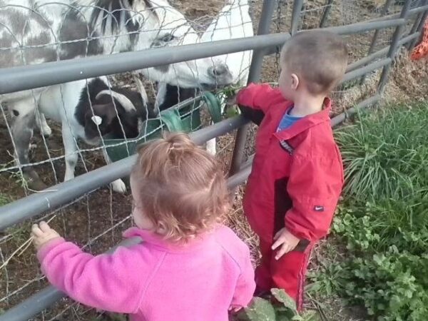 Haunted Maze at Mayr Family Farm