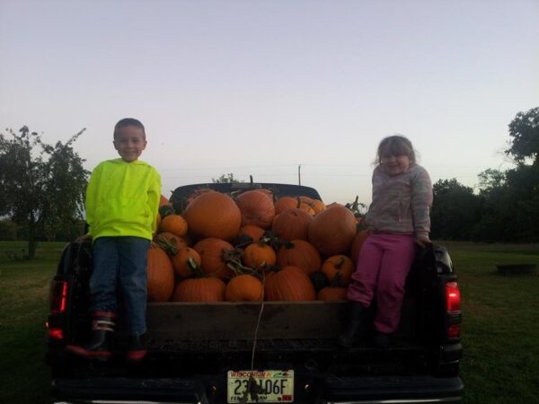 Haunted Maze at Mayr Family Farm