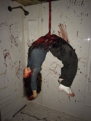Hauntedweb of Horrors