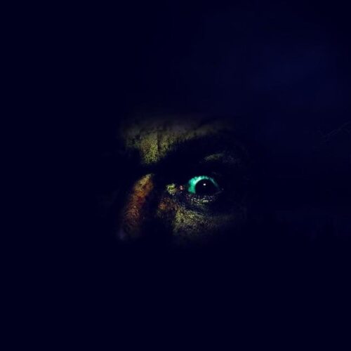 Hauntedweb of Horrors