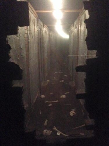 Hauntedweb of Horrors