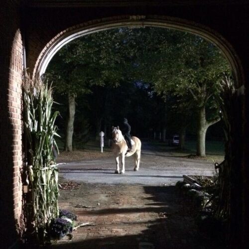 HorseAbility Haunted Hay Barn