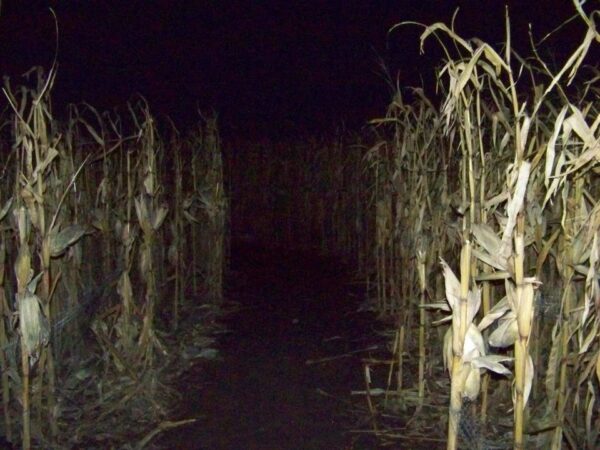 Jonamac Orchard Haunted Corn Maze