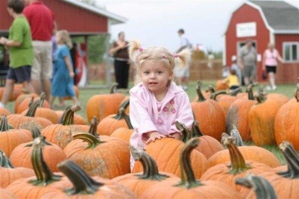Jonamac Orchard Haunted Corn Maze