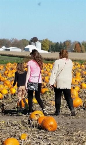 Jonamac Orchard Haunted Corn Maze
