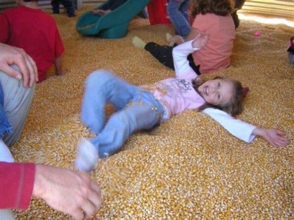 Jonamac Orchard Haunted Corn Maze