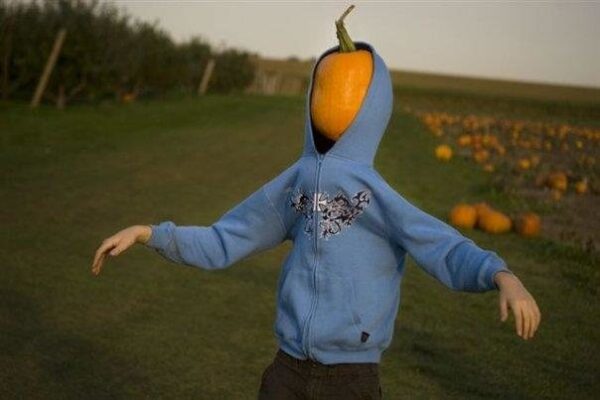 Jonamac Orchard Haunted Corn Maze