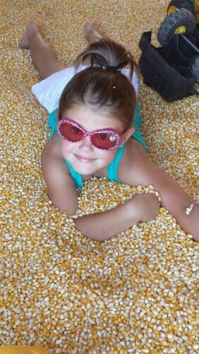 Jonamac Orchard Haunted Corn Maze