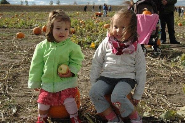 Jonamac Orchard Haunted Corn Maze