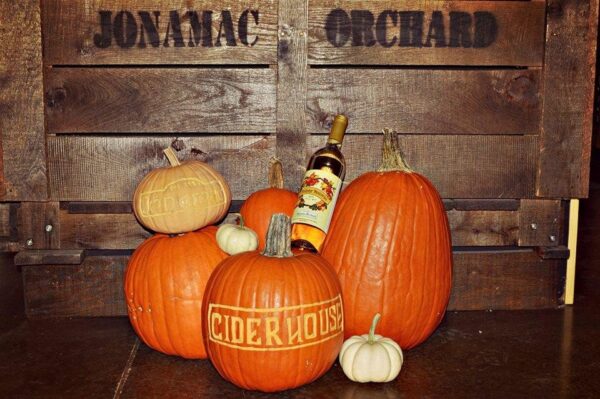 Jonamac Orchard Haunted Corn Maze