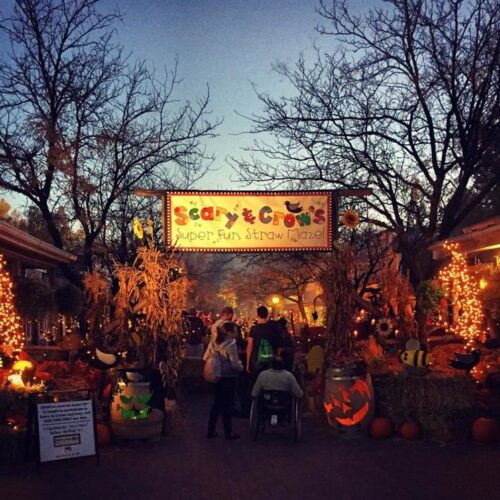 Lagoon Park Frightmares