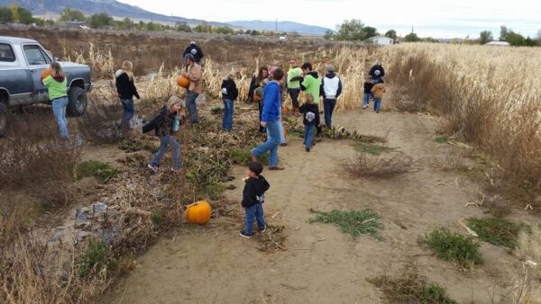 Lazy P Adventure Farm & Barn of Terror