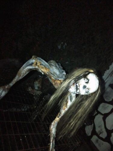 Mayhem Haunted House