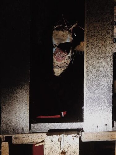 Mayhem Haunted House