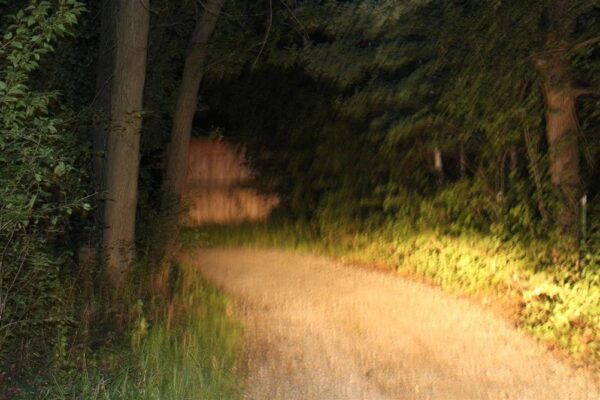 Molitor's Haunted Acres