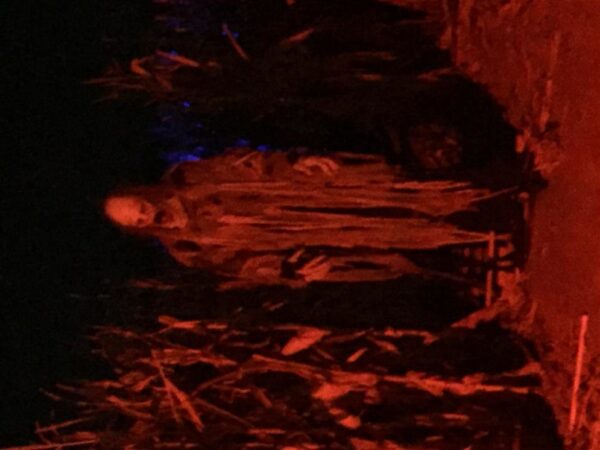 Night Stalkers Haunted Trail at Crazy Corn Maze