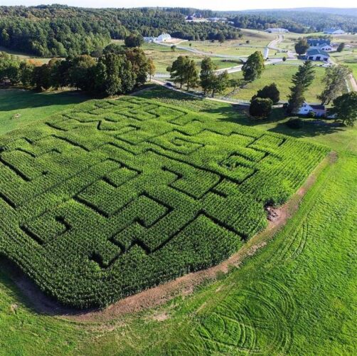 Pineland Farms
