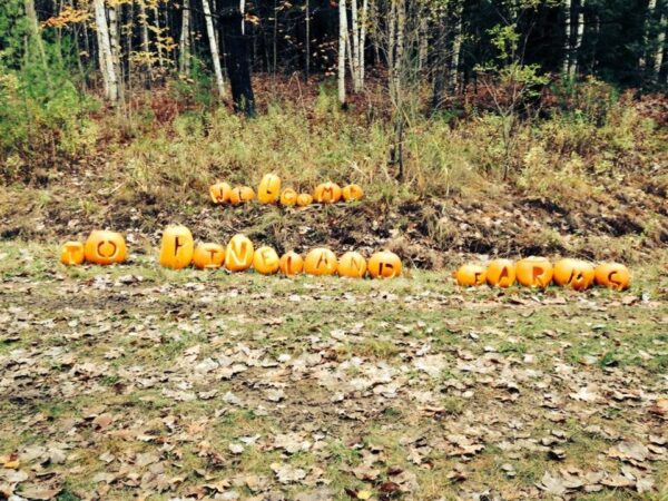 Pineland Farms