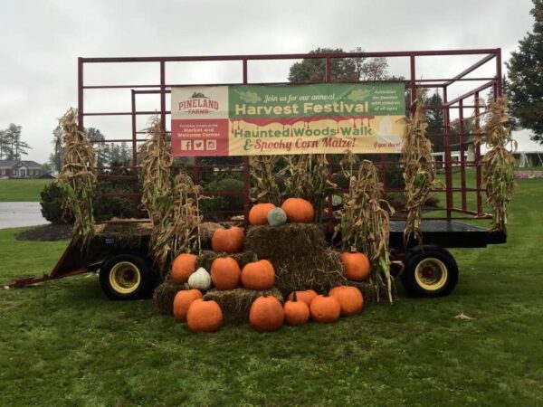 Pineland Farms
