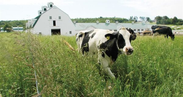 Pineland Farms