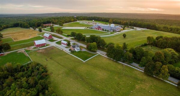 Pineland Farms
