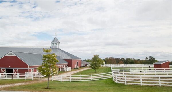 Pineland Farms