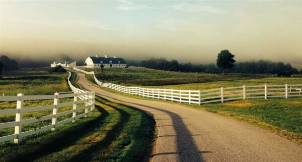 Pineland Farms