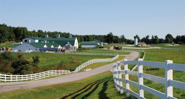 Pineland Farms