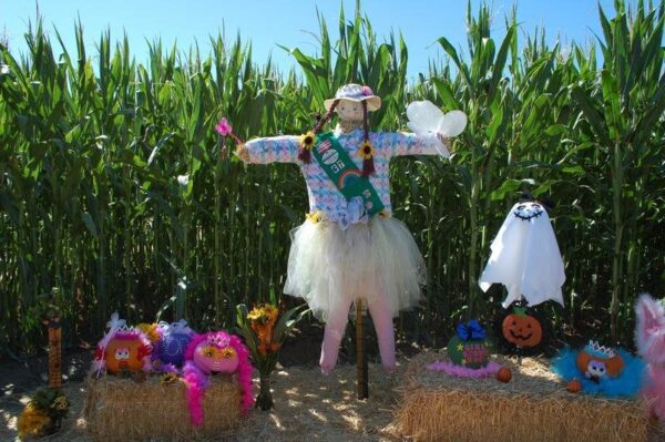 Pumpkin Maze