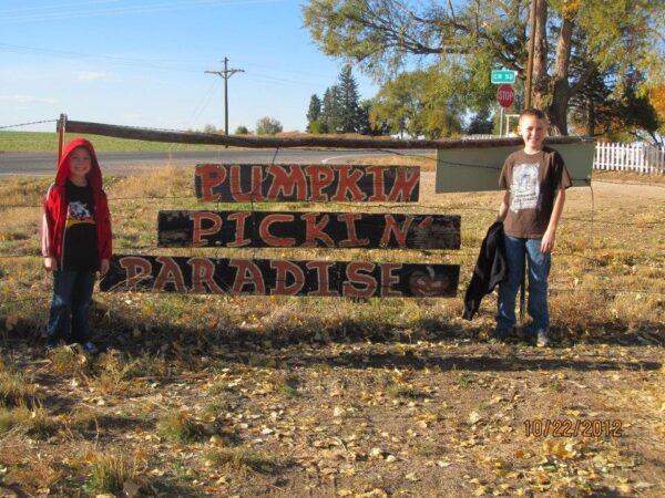 Pumpkin Pickin' Paradise