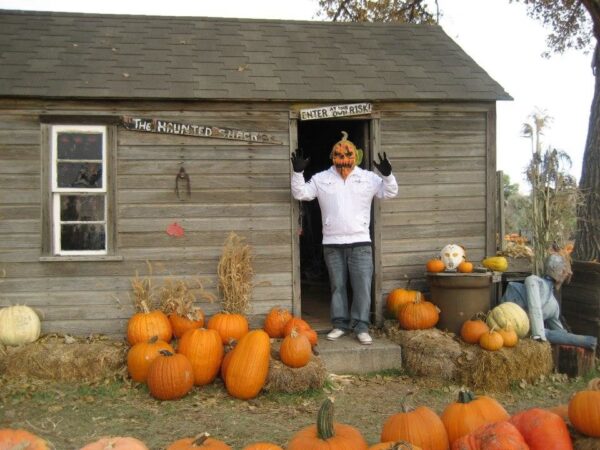 Pumpkin Pickin' Paradise