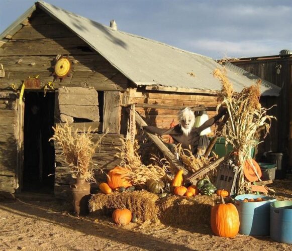 Pumpkin Pickin' Paradise