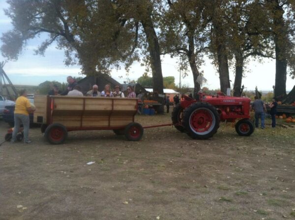 Pumpkin Pickin' Paradise