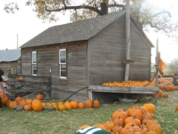 Pumpkin Pickin' Paradise