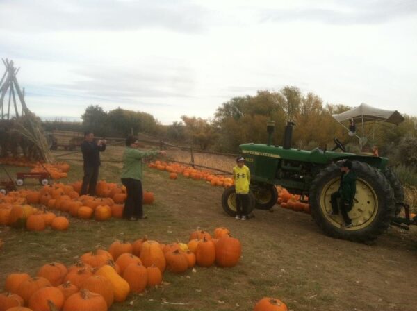 Pumpkin Pickin' Paradise