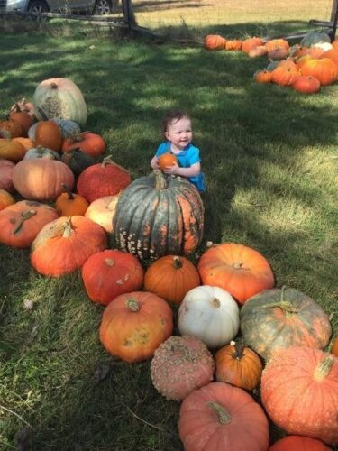 Pumpkin Pickin' Paradise