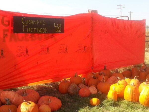 Pumpkin Pickin' Paradise