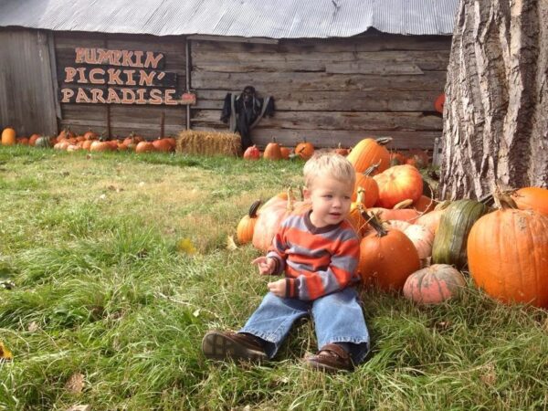 Pumpkin Pickin' Paradise