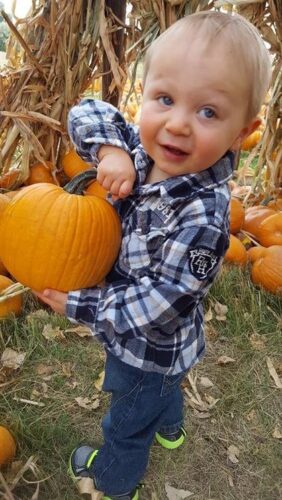 Pumpkin Pickin' Paradise