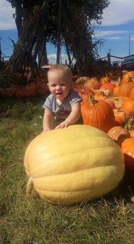 Pumpkin Pickin' Paradise