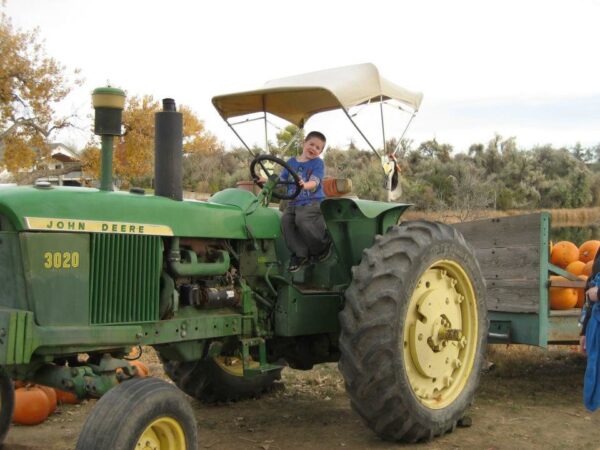 Pumpkin Pickin' Paradise